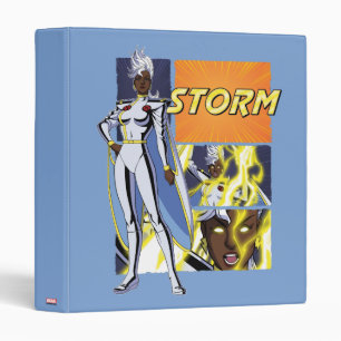Storm Character Panel Graphic Binder