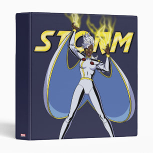 Storm Character Pose Binder
