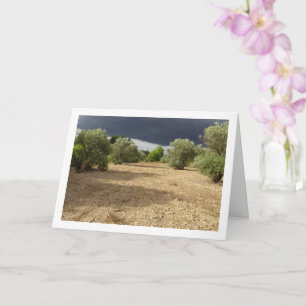 Storm Cloud over Canyon Orchard Landscape Card
