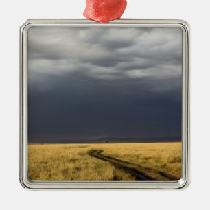 Storm clouds and road across gassy plains of the metal ornament