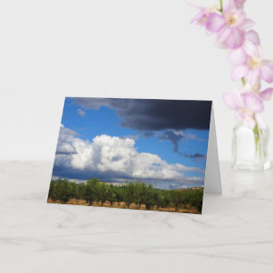 Storm Clouds over Spanish Olive Grove Card