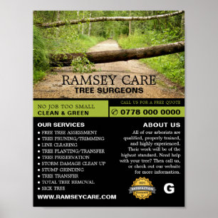 Storm Damage - Tree Surgeon - Arborist Poster