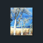 Storm Front 1 Canvas Print<br><div class="desc">Captured this shot of the cold front almost here on March 11,  2014 in Calhan,  CO.</div>