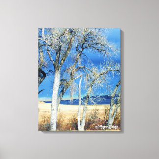 Storm Front 1 Canvas Print