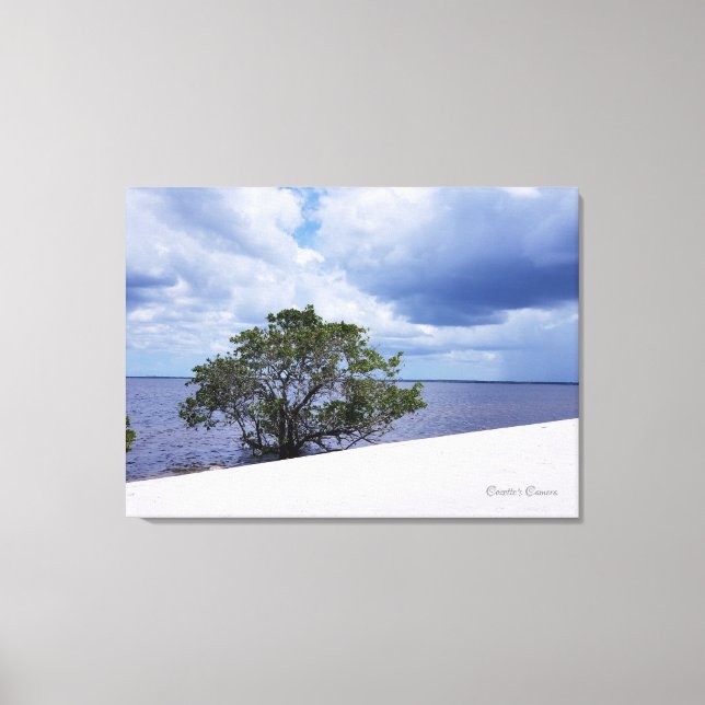 Storm on the Beach Canvas Print (Front)