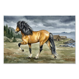 Stormur Icelandic Horse by the Sea Photo Print