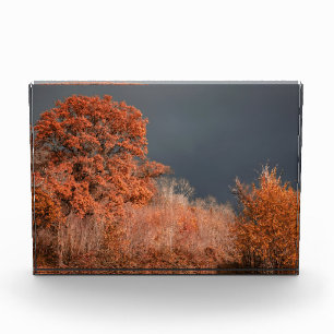 Stormy Autumn Photo Block
