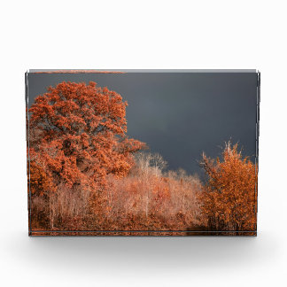Stormy Autumn Photo Block