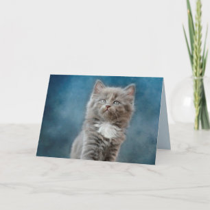 stormy cat greeting card