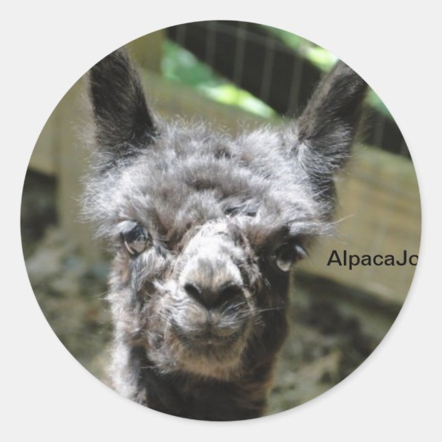 Stormy Classic Round Sticker (Front)