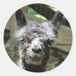 Stormy Classic Round Sticker