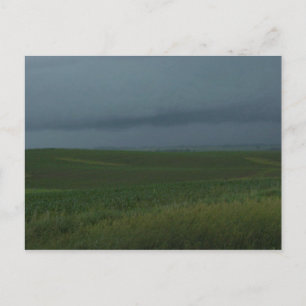 Stormy field postcard