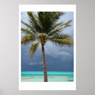 Stormy Paradise Poster