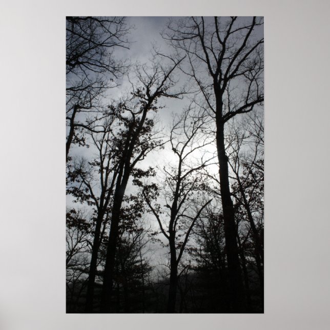 stormy poster (Front)