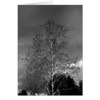 Stormy Skies