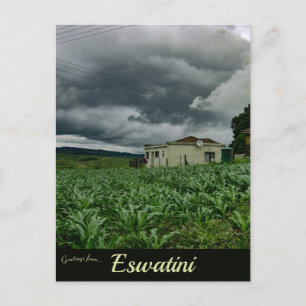Stormy Skies Over Bhunya Eswantini Postcard