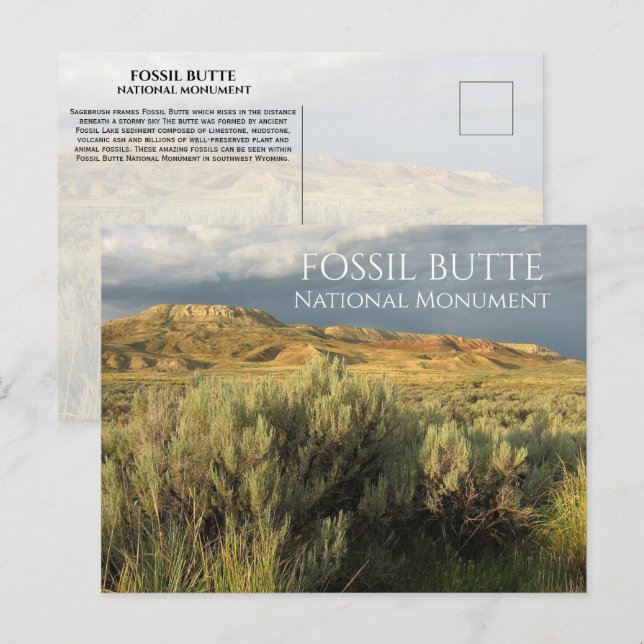 Stormy Sky Fossil Butte National Monument Wyoming Postcard (Front/Back)
