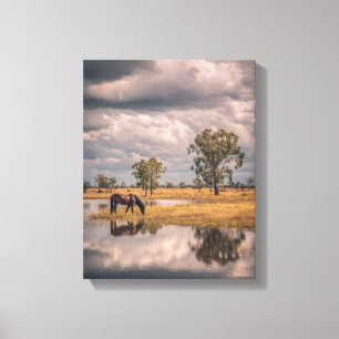 Stormy Sky Horse Pond Reflection Art Canvas Print