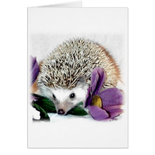 Stormy the Hedgehog