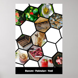 Story Collage Strawberries, Pollinators & Yield Poster