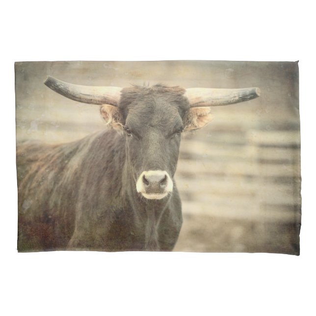 STOUT LONGHORN STEER PILLOWCASE (Front)