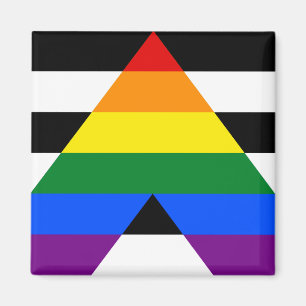 Straight Ally Pride Magnet