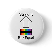 Straight But Equal LGBT support pin