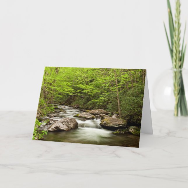 Straight Fork Flows Through Forest Card (Front)