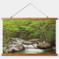 Straight Fork Flows Through Forest