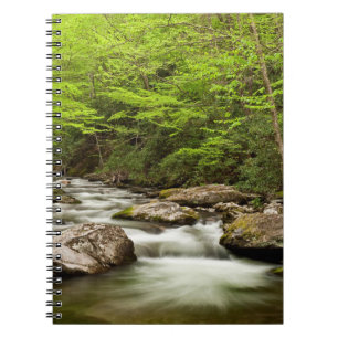 Straight Fork Flows Through Forest Notebook