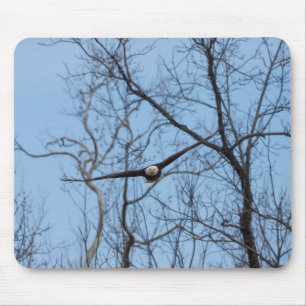 Straight On Eagle Mouse Pad