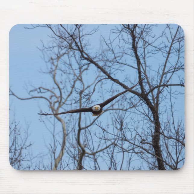 Straight On Eagle Mouse Pad (Front)