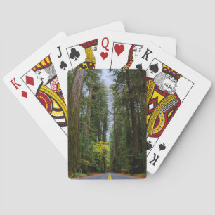 Straight Road Ahead Through Misty Redwood Forest Playing Cards