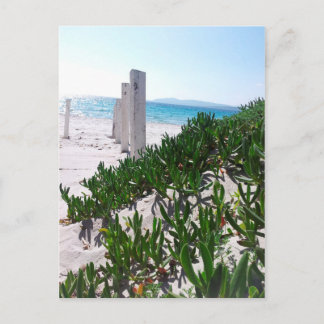 Strand bei Alghero Sardinien - Postkarte Postcard