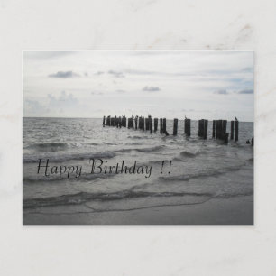 Strand in Florida Pelikane Geburtstagskarte Postcard