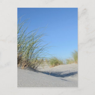 Strand Postcard