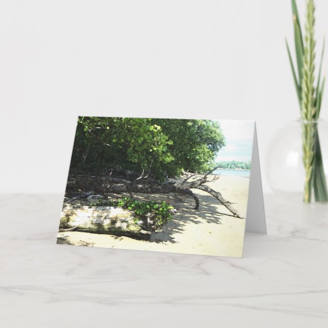 stranded 8x10 2 card (Front)