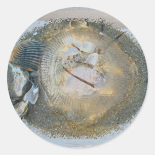 Stranded Jellyfish Series Coordinating Iems Classic Round Sticker