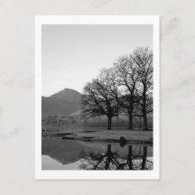 Strandshag Bay Reflections at Derwentwater Postcar