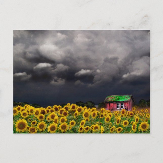 Strange Day , Postcard (Front)