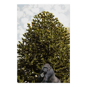 Strange enough to puzzle a monkey. poster