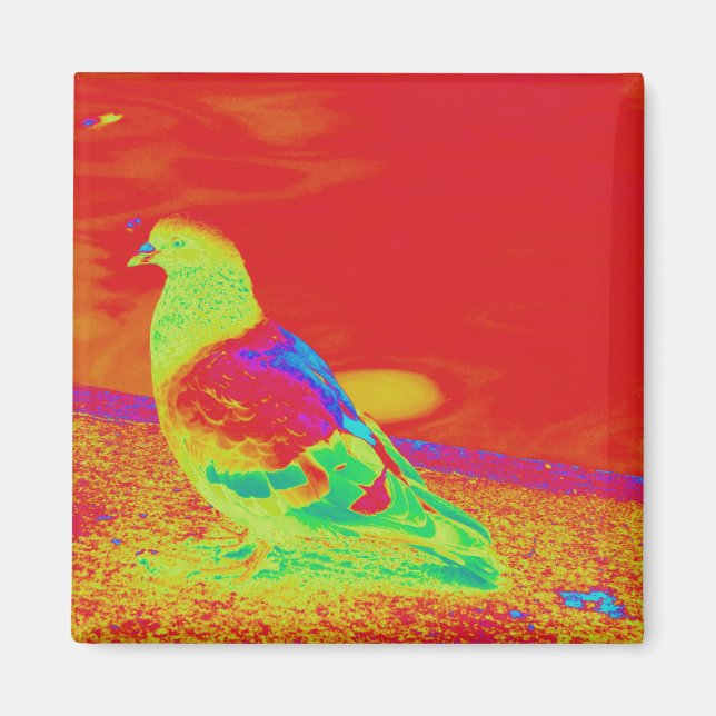 Strange Pigeon Magnet (Front)