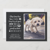 Strange Times New Pet Photo Announcement | Black