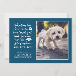 Strange Times New Pet Photo Announcement | Blue