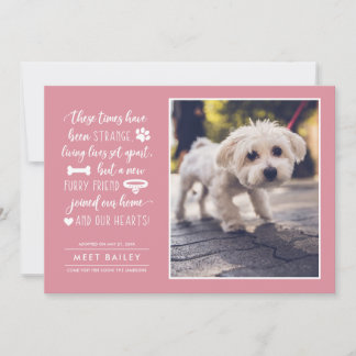 Strange Times New Pet Photo Announcement | Pink