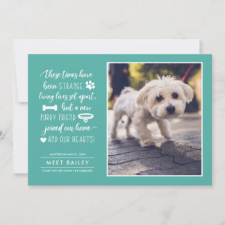 Strange Times New Pet Photo Announcement | Teal