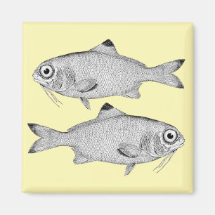 Strange vintage fish drawing magnet