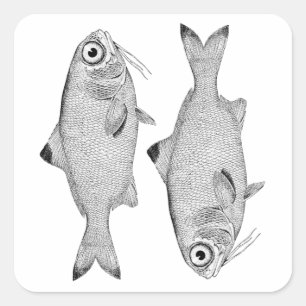 Strange vintage fish drawing square sticker