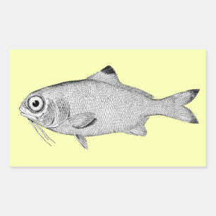 Strange vintage fish drawing sticker
