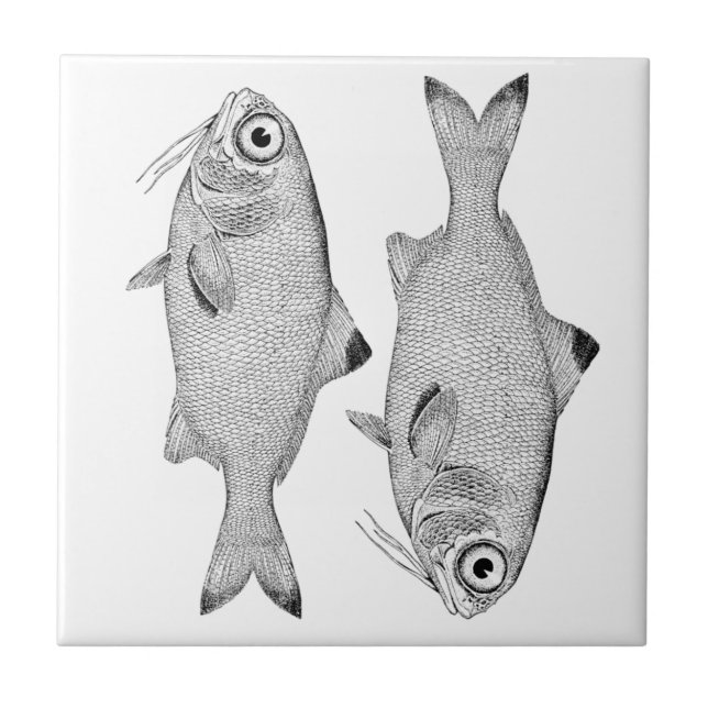 Strange vintage fish drawing tile (Front)
